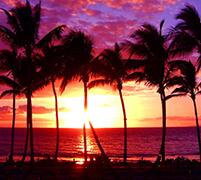 ������·��˾������ҳ���֮ɫ�ʴ���׼��